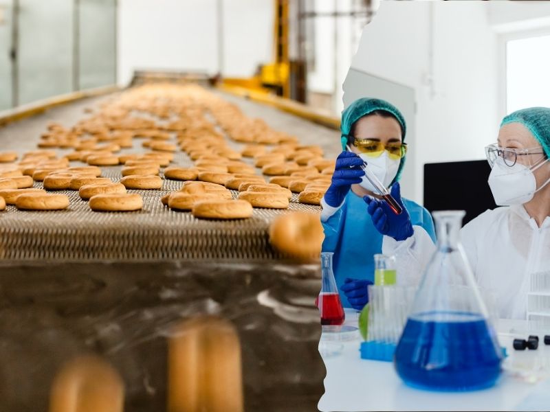 Why Food Colours Differ in Lab Tests and Mass Production